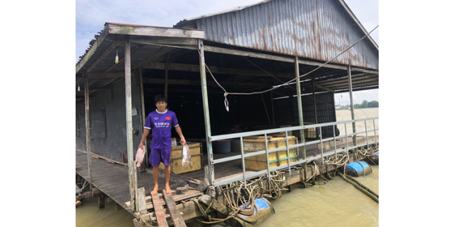 Khó quản thức ăn, thuốc thú y thủy sản